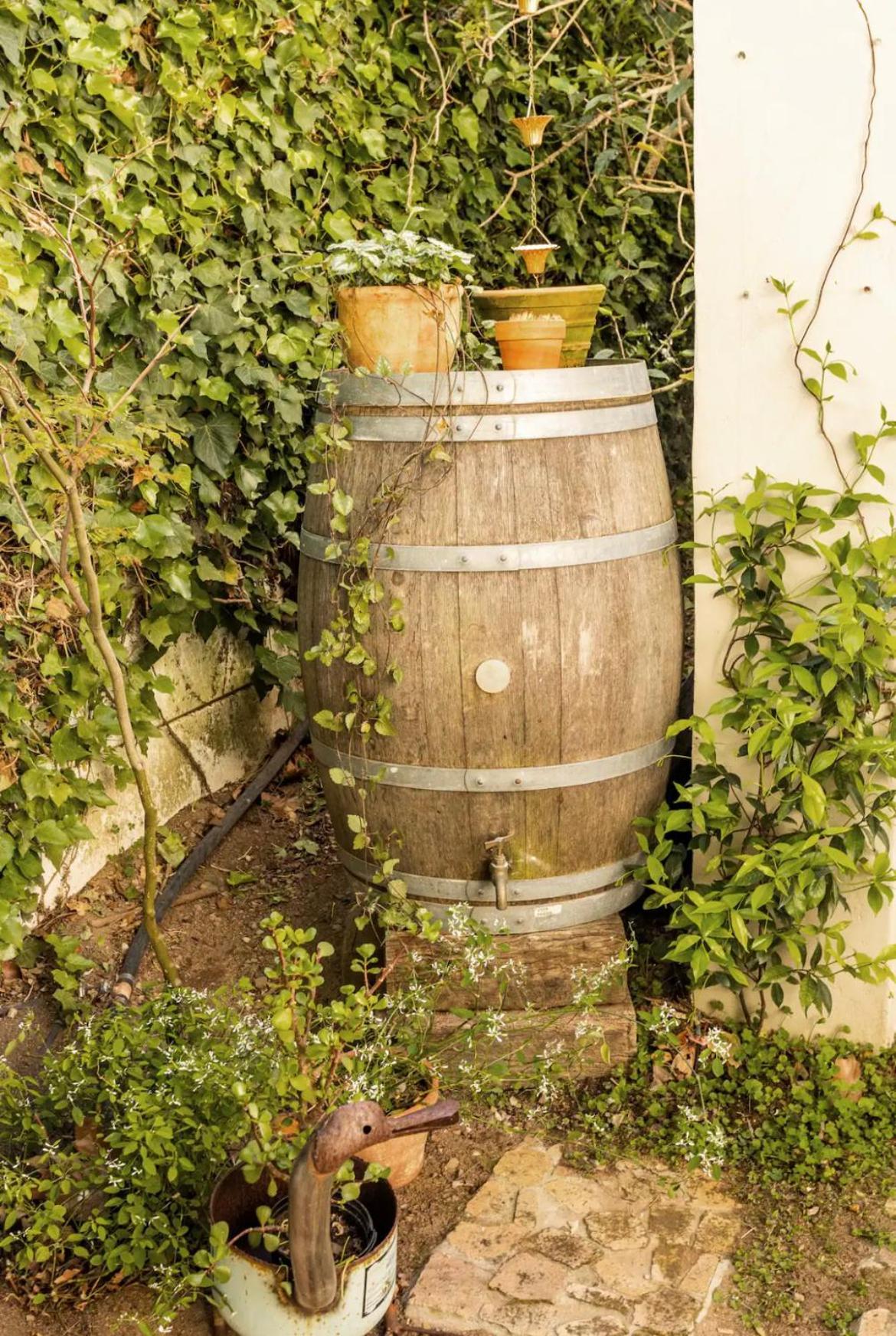 Guest Suite - Leafy Constantia Guest House Cape Town Exterior photo